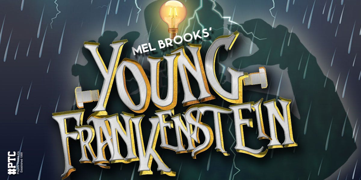  Young Frankenstein hero