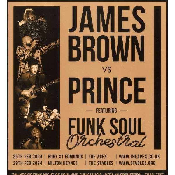 Funk Soul Orchestral : James Brown vs Prince thumbnail