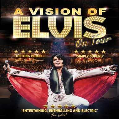 Hero image for A Vision Of Elvis