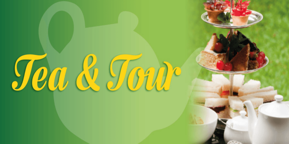 Hero image for Tea and Tour