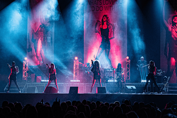 Image preview for What's Love Got To Do With It?