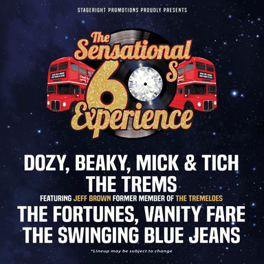Hero image for The Sensational 60s Experience