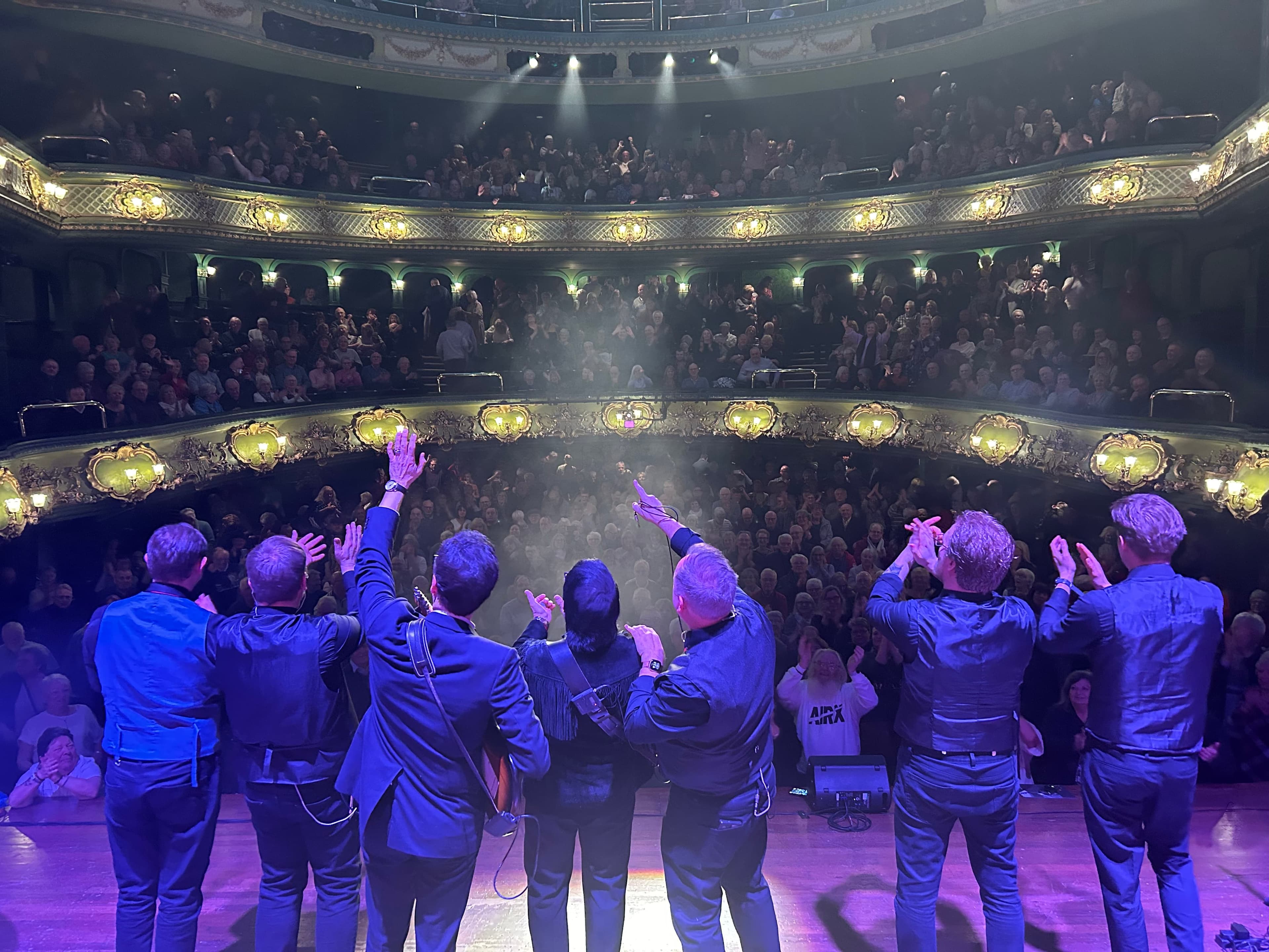 Image preview for Roy 2