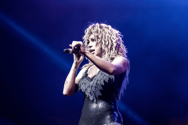 Image preview for What's Love Got To Do With It?